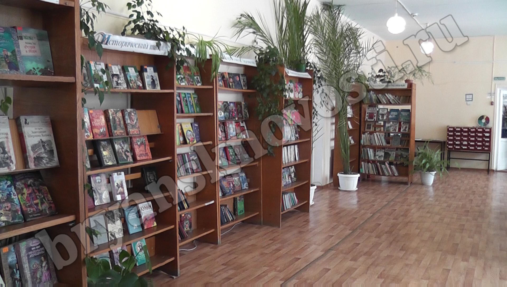 Десятки книг подарили горожане библиотеке в Новозыбкове