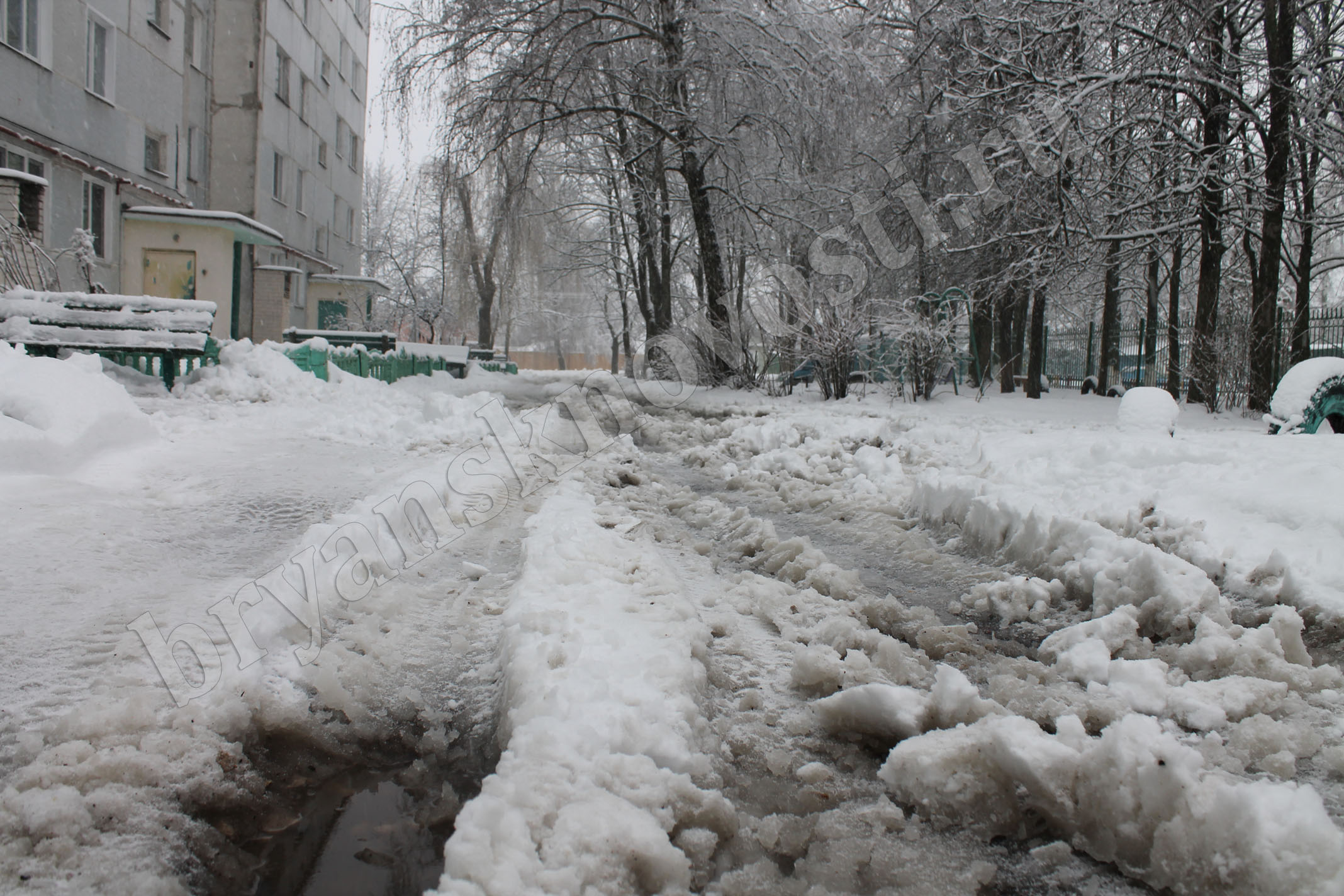 В Новозыбкове коммунальщики не успевают справляться с обрушившимся на город снегопадом