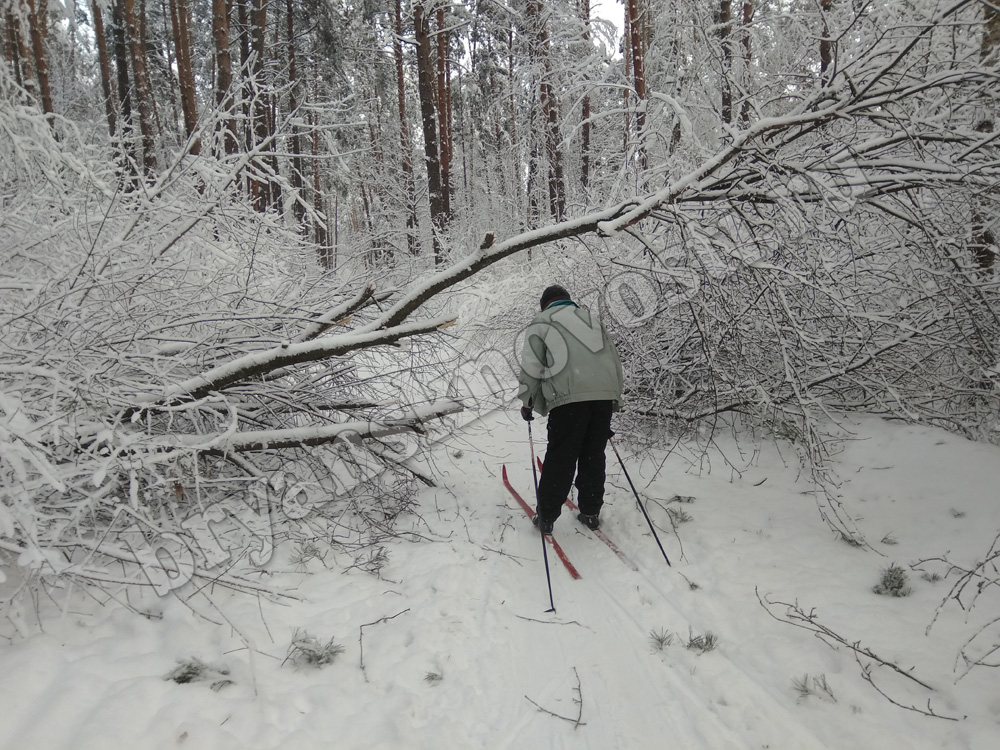 Лыжную трассу после оттепели и сильного снегопада подготовили сообща