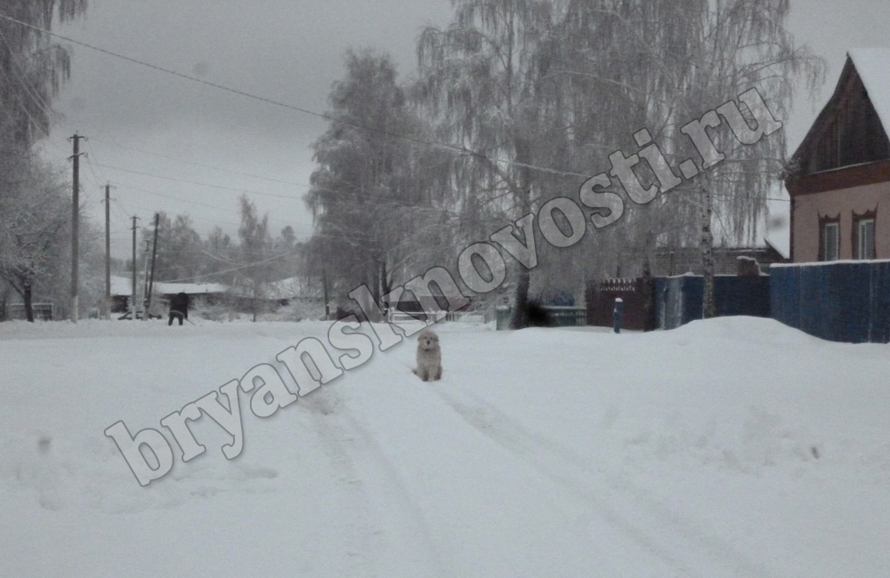 В селе Новозыбковского района из-за отсутствия света замерзает четырехмесячный ребенок