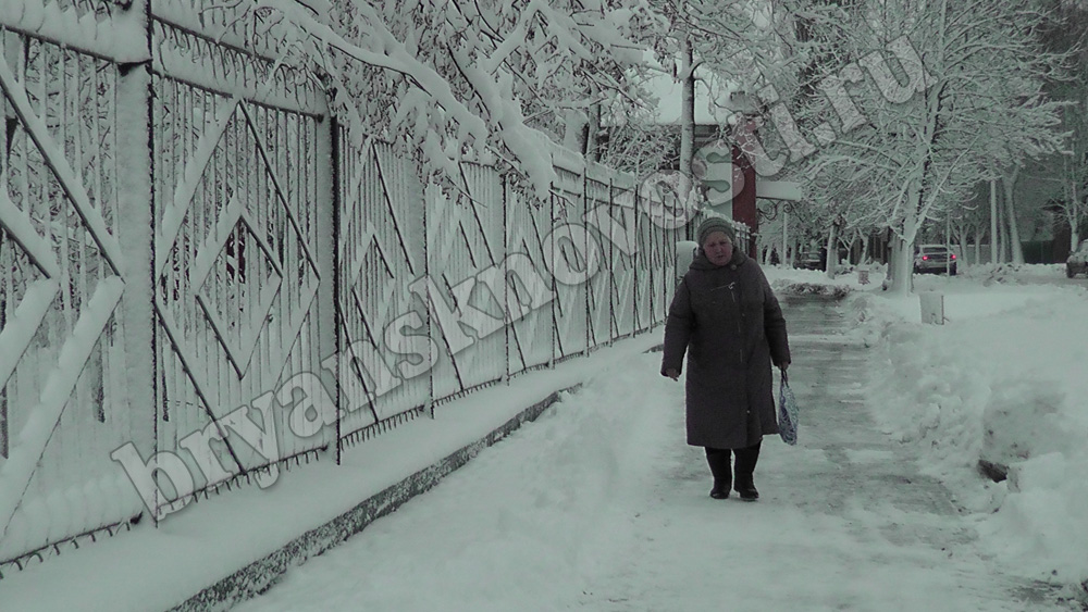 Погода в новозыбкове на месяц. Новозыбков зимой. Новозыбковская зима. Новости Новозыбков за февраль в конце февраля. Открытка с Новозыбкова.