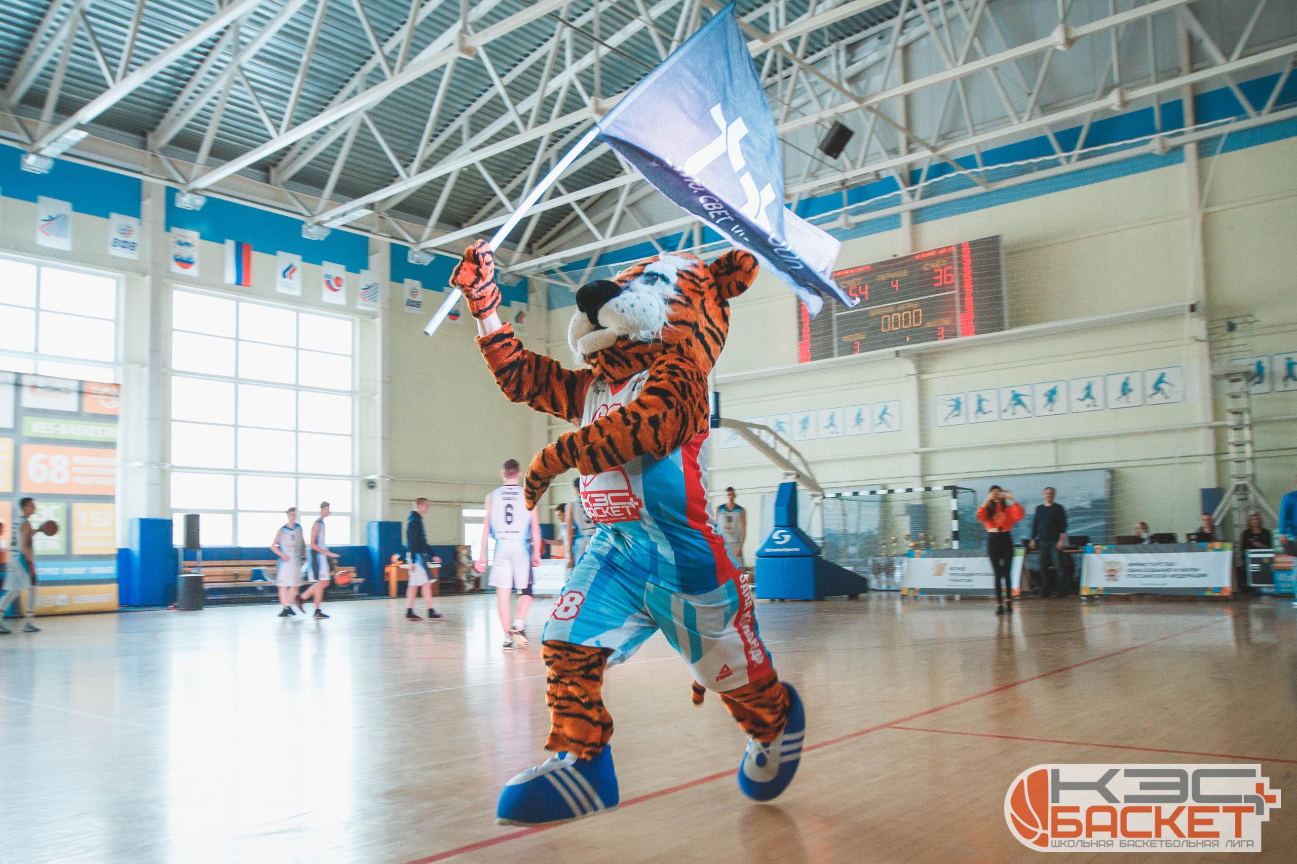 Новозыбковские баскетболисты не поедут на финал чемпионата ЦФО «КЭС-БАСКЕТ»