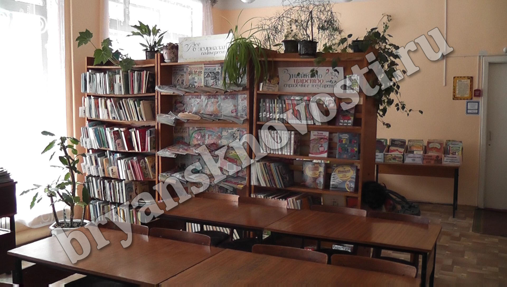 Каждый третий житель Новозыбкова брал книги в библиотеке в прошлом году
