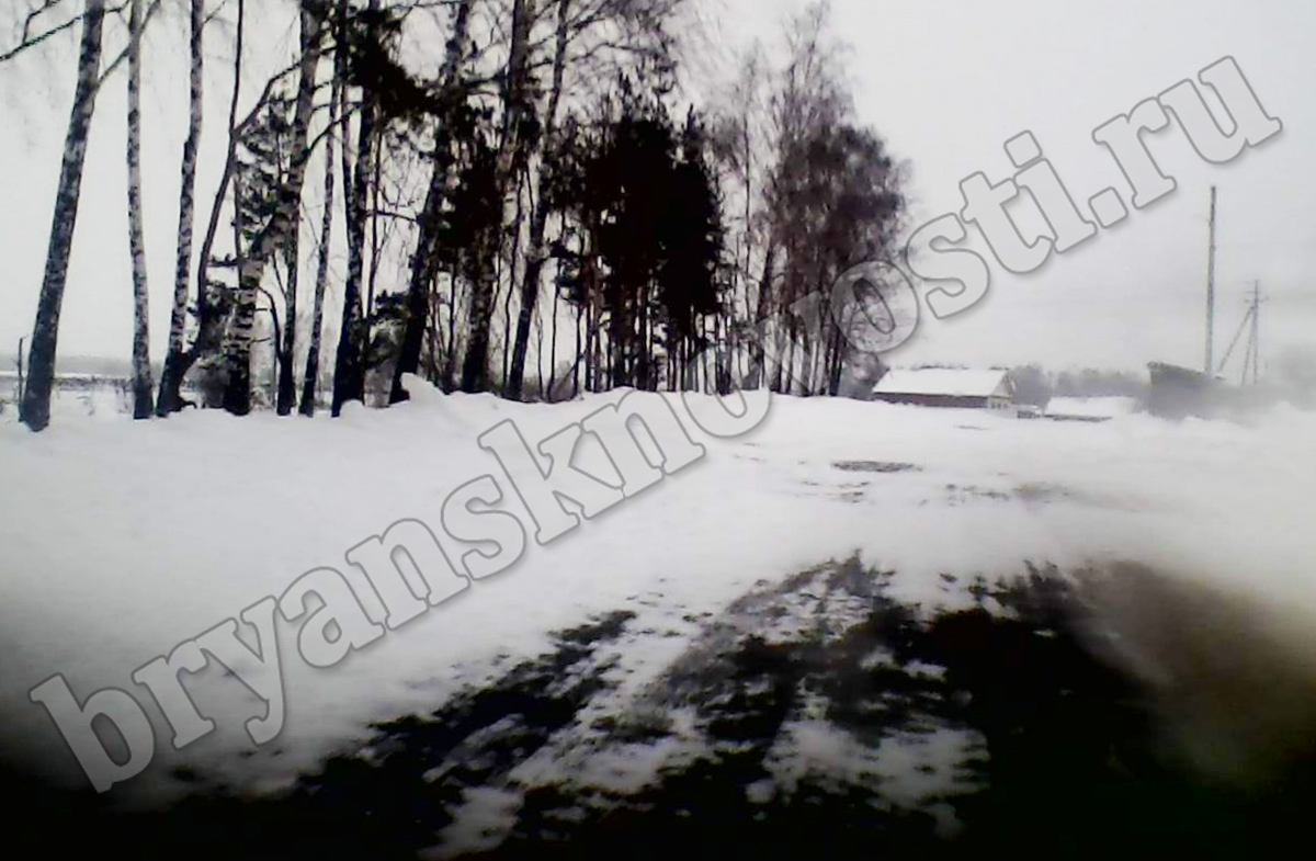 В Новозыбковском районе в борьбе со снегом пока побеждает снег