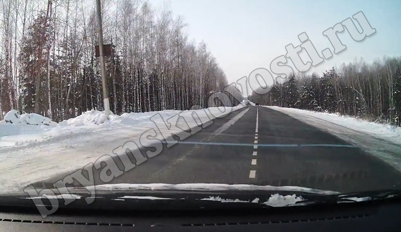 Госавтоинспекторы рекомендовали дорожникам исправить оплошность в разметке под Новозыбковом