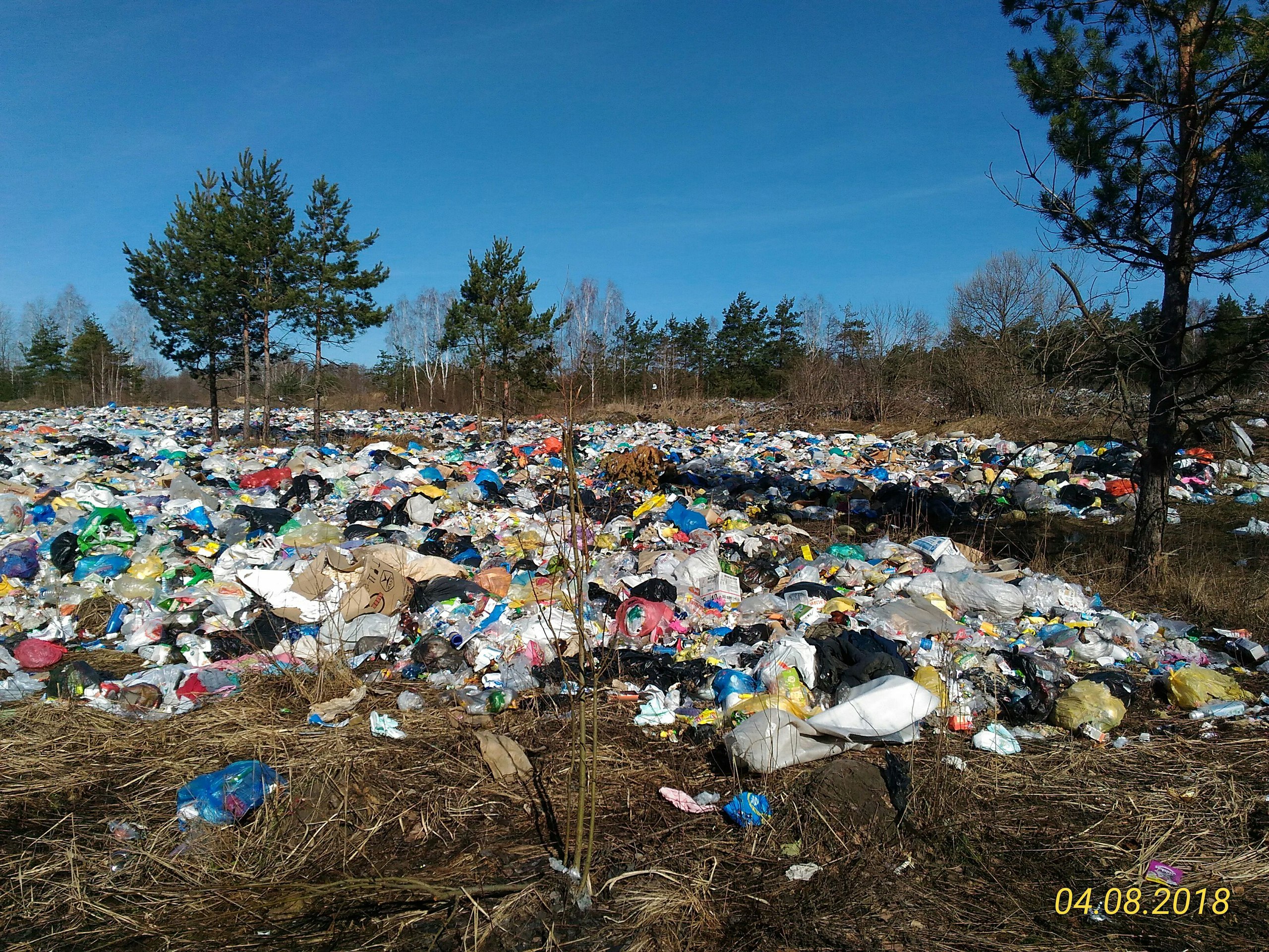 Экологи нашли под Злынкой тайный мусорный полигон