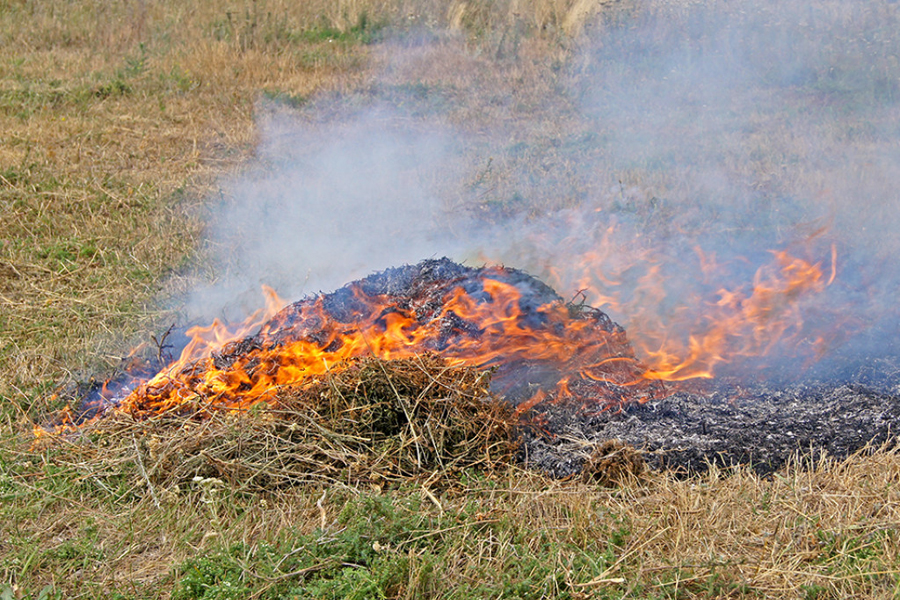 Новозыбковцев призывают к осторожности с огнем
