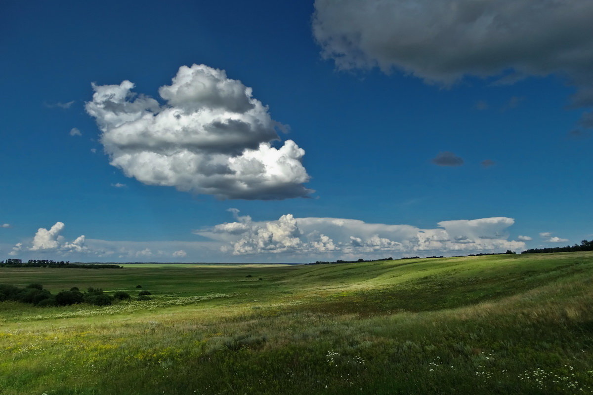 10 августа на территории Брянской области небольшая облачность. Без осадков
