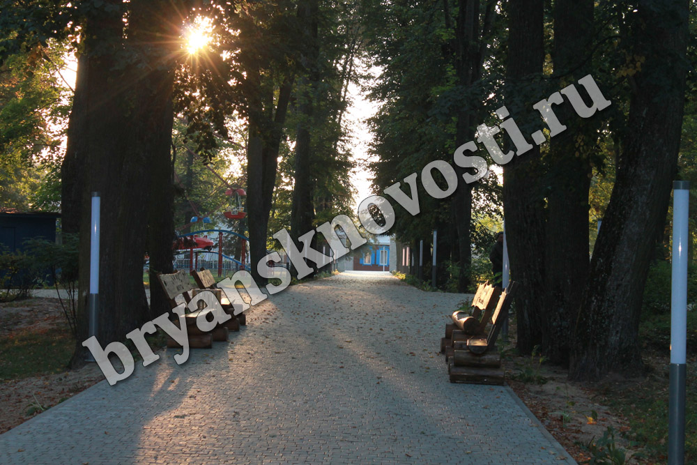 В сентябре в городском парке в Новозыбкове проходит акция «Новая жизнь старого парка»