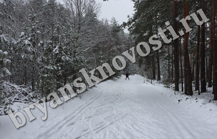 Лыжня зовет: трасса имени Бавкунова в Новозыбкове приглашает лыжников