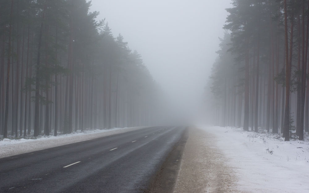 В Брянской области завтра местами туман
