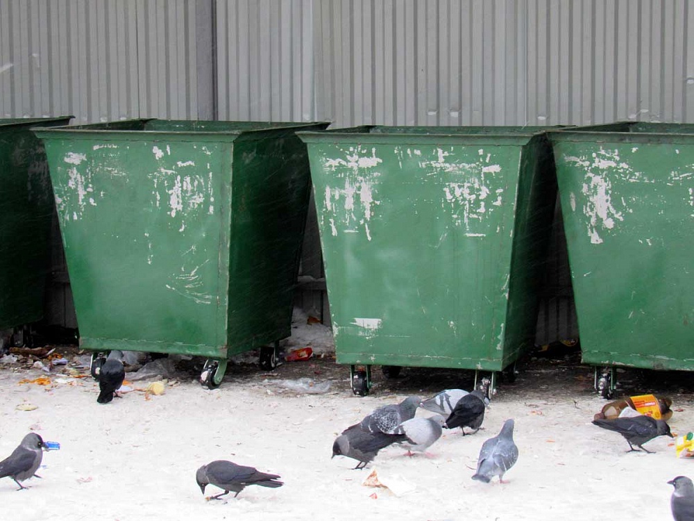 В Новозыбкове предложили установить контейнеры для мусора в частном секторе