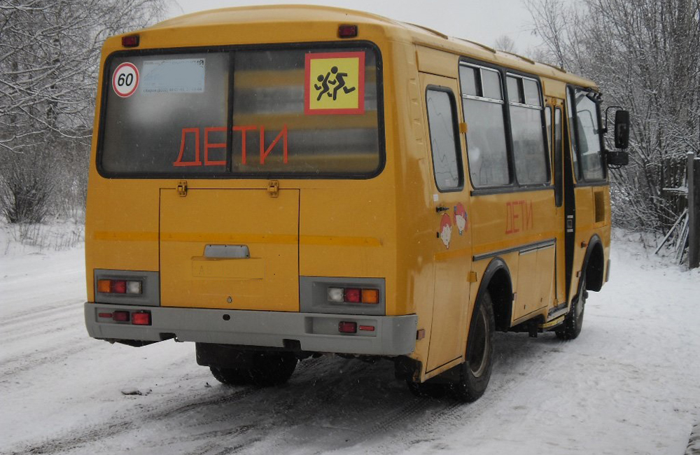 Порядка двухсот ребят из Новозыбковского района получают образование в школах соседних сел