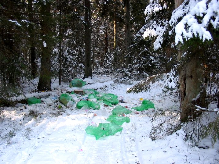 Ситуация с вывозом мусора в Новозыбкове: убрать, нельзя оставить