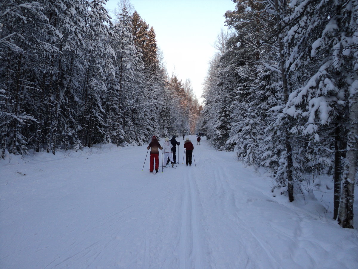 Новозыбковский район организует массовую лыжню