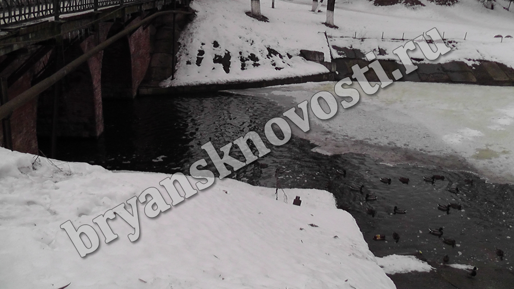 Мост через озеро Карна в Новозыбкове отремонтируют