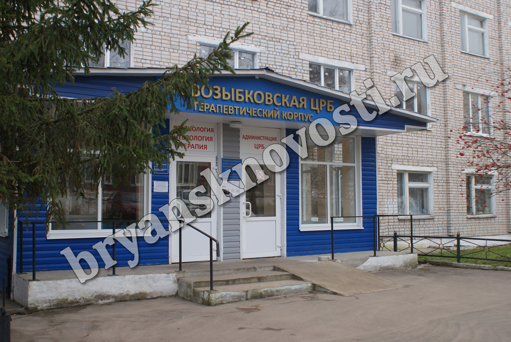В Новозыбковской больнице полностью обновили автопарк скорой помощи