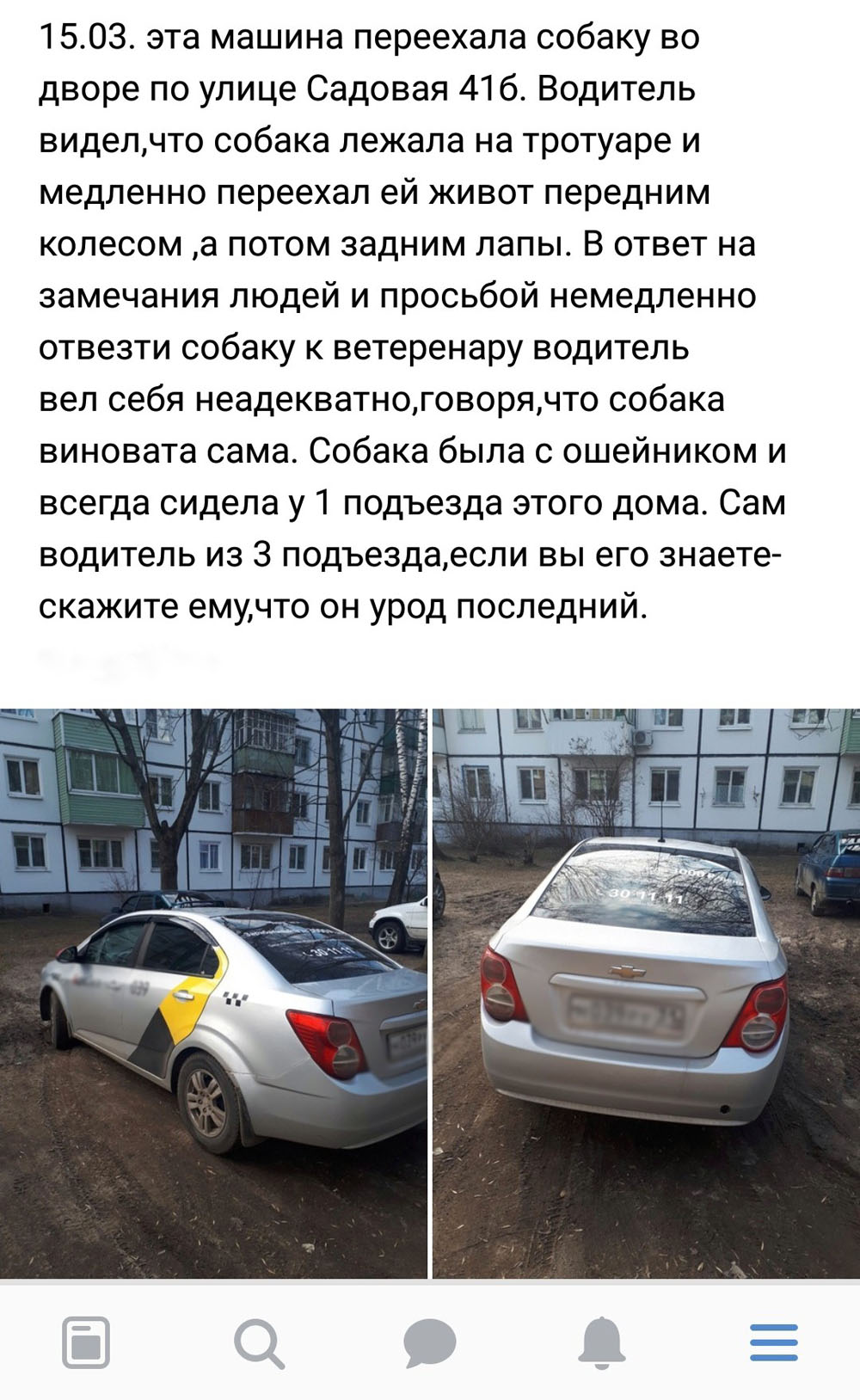 Новозыбковский таксист, сбивший собаку, отказался ей помочь