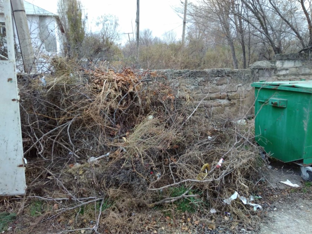 В некоторых районах Брянщины не организованы места под выброс мусора