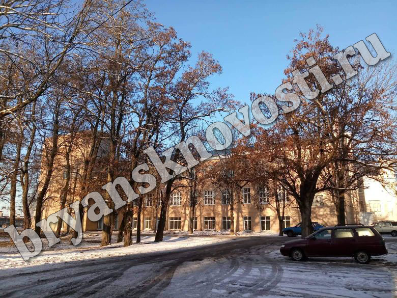 В Новозыбкове пяти вдовам и родителям погибших солдат и силовиков повысят пособия