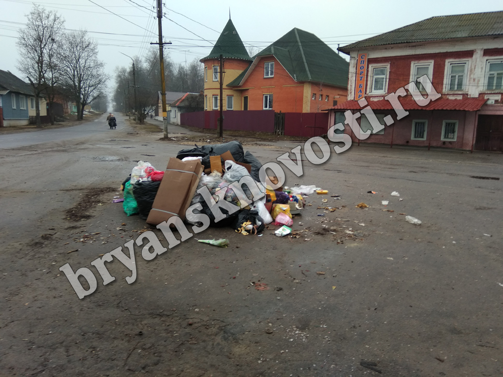 В Новозыбкове планируют организовать площадки для сбора мусора на окраинах