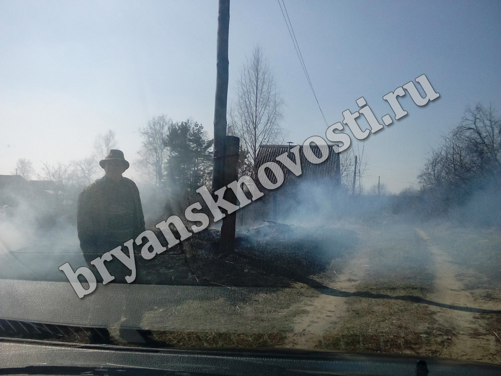 В окрестностях Новозыбкова повсеместно горит сухая трава