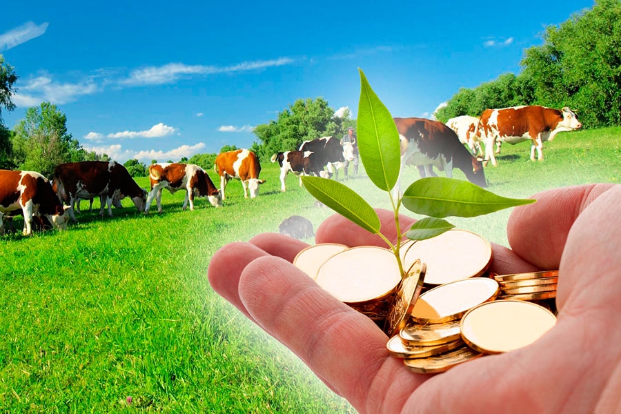 На поддержку развития фермерских хозяйств Брянщины выделено 38,85 миллиона рублей