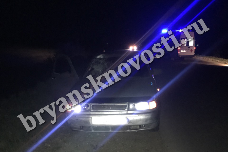 Под Новозыбковом 32-летний автомобилист насмерть сбил двоих