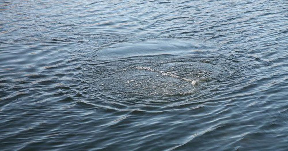 В Новозыбкове утонул мужчина