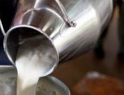 Поставщика сливочного масла в детские учреждения Брянской области заподозрили в производстве фальсификата