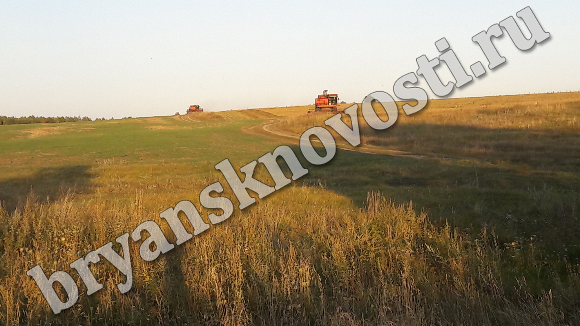 Уборка зерновых в хозяйствах Новозыбковского района практически завершена