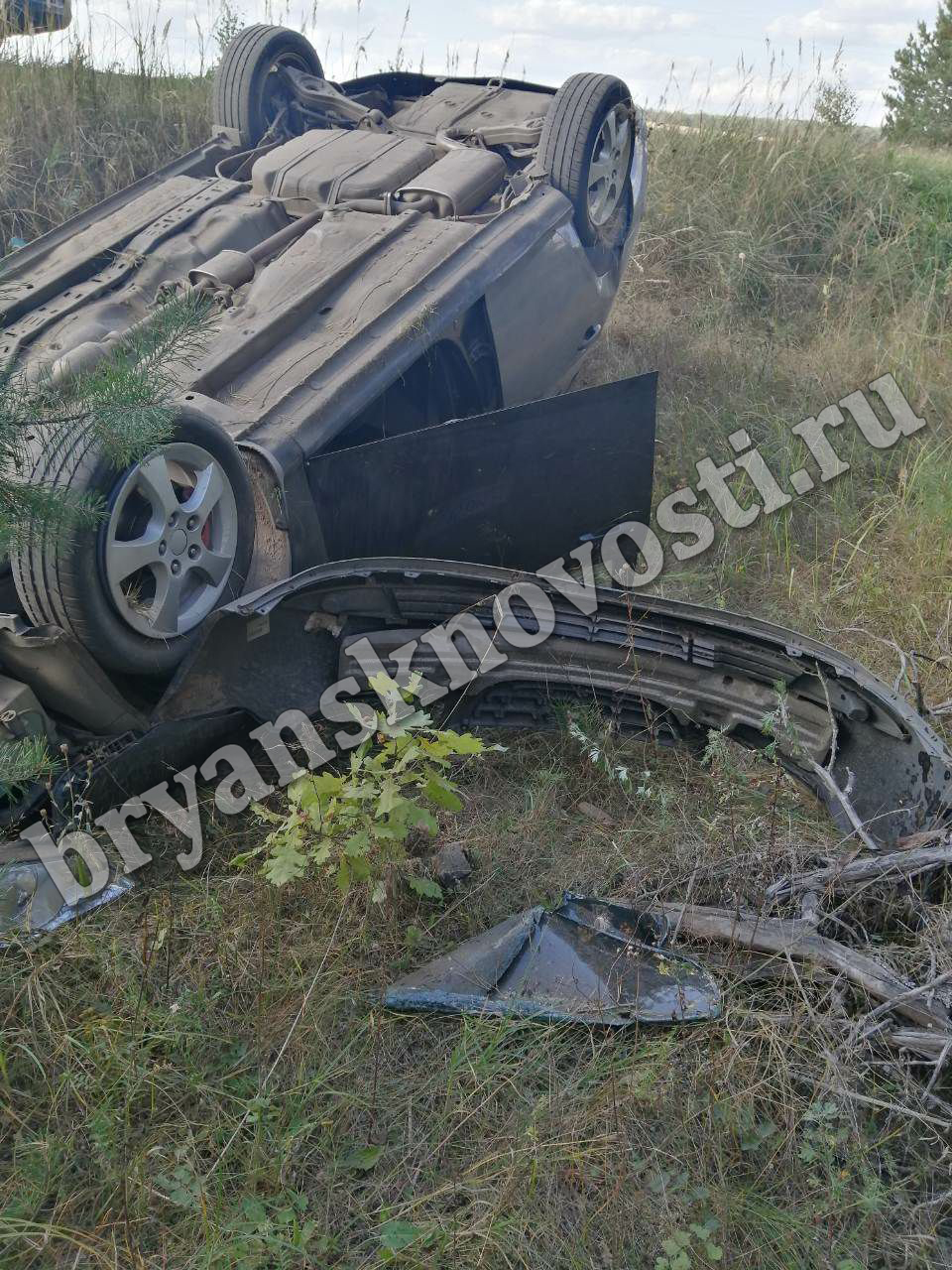 Под Новозыбковом водитель разбил машину и травмировал пассажирку