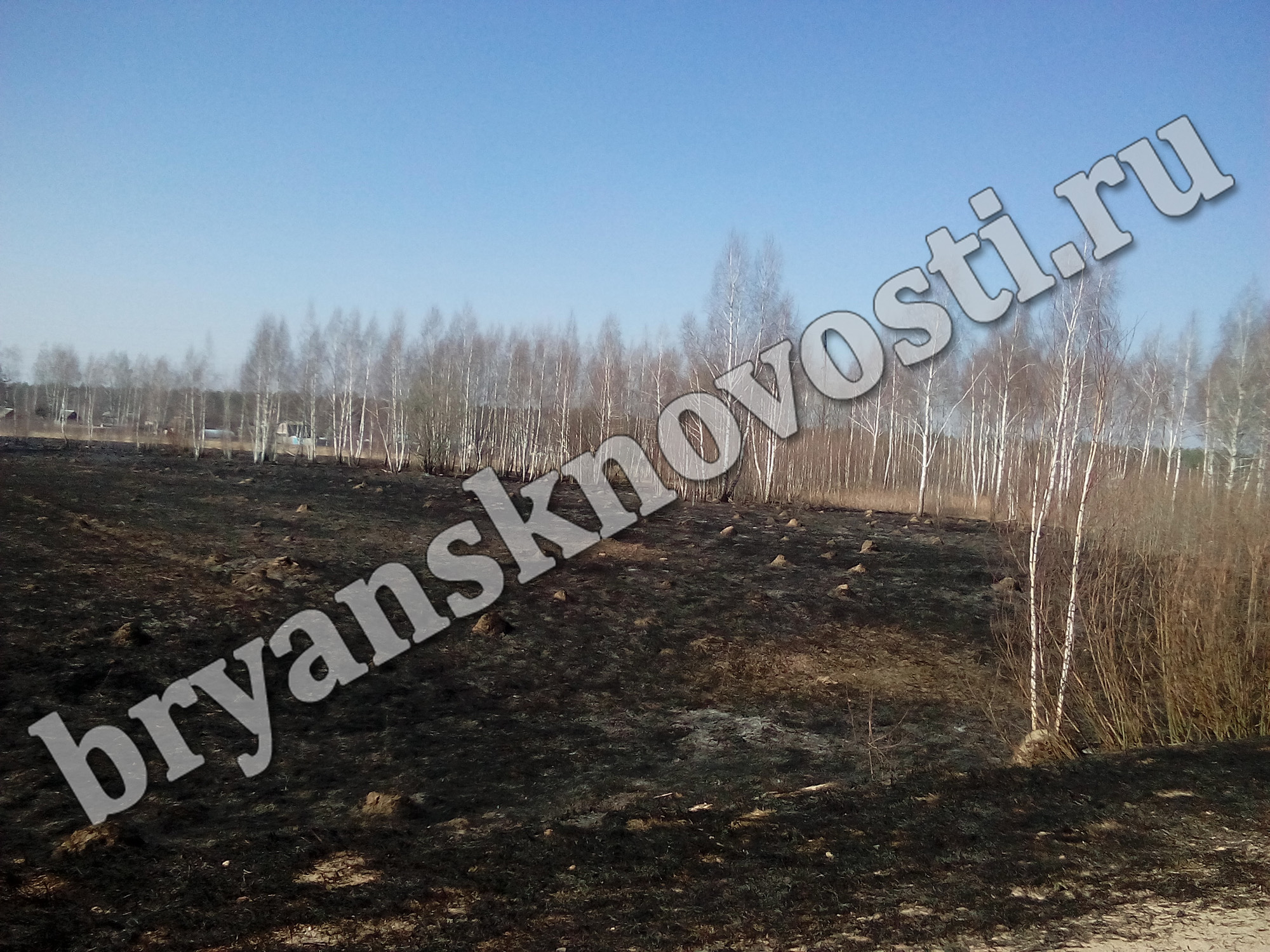 В Новозыбковском округе ведется мониторинг ситуации в лесах