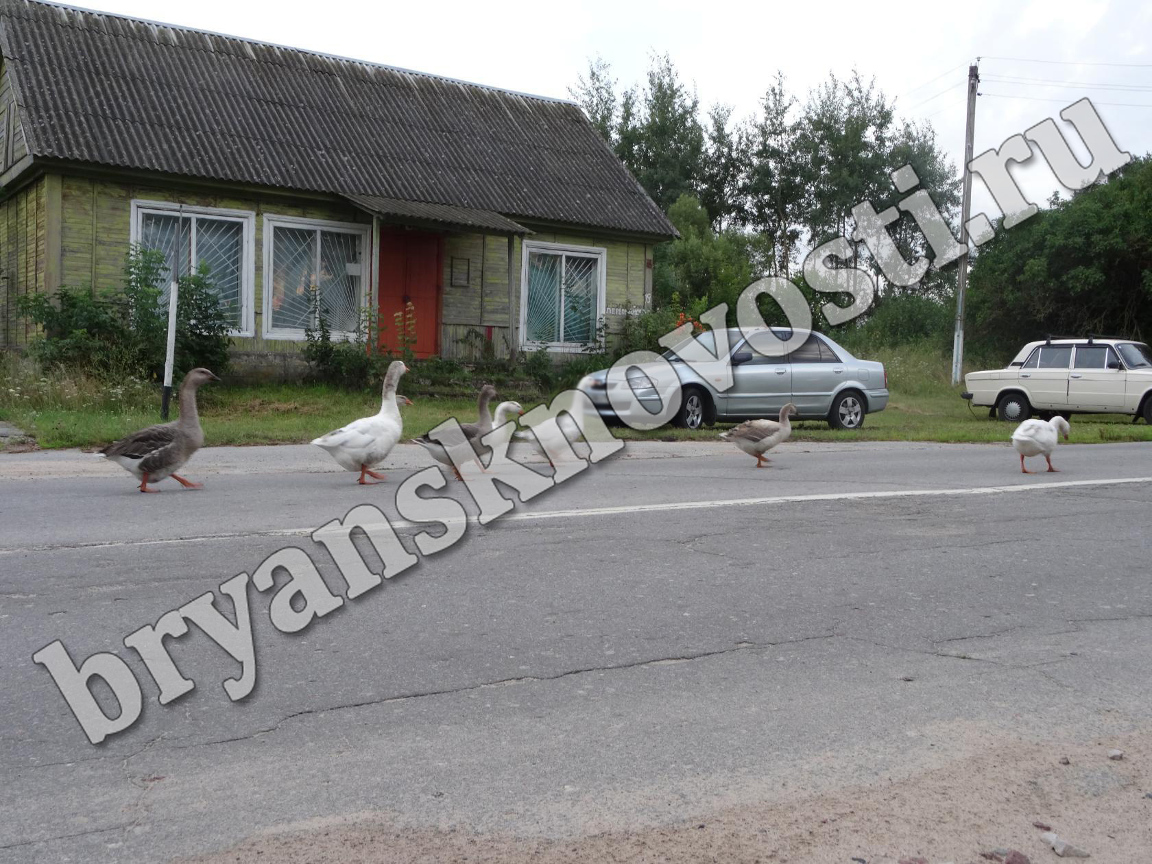 В малые новозыбковские села магазин приезжает на несколько часов в неделю. Люди рады и этому