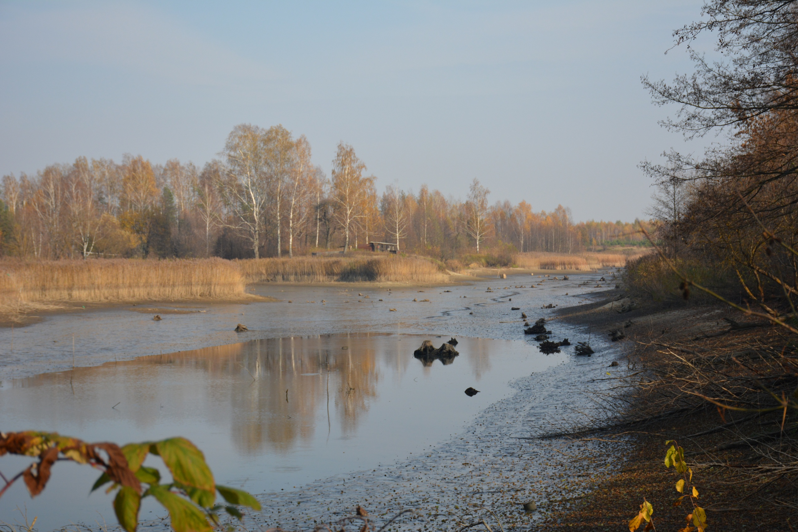 Озеро под Новозыбковом оказалось на грани исчезновения
