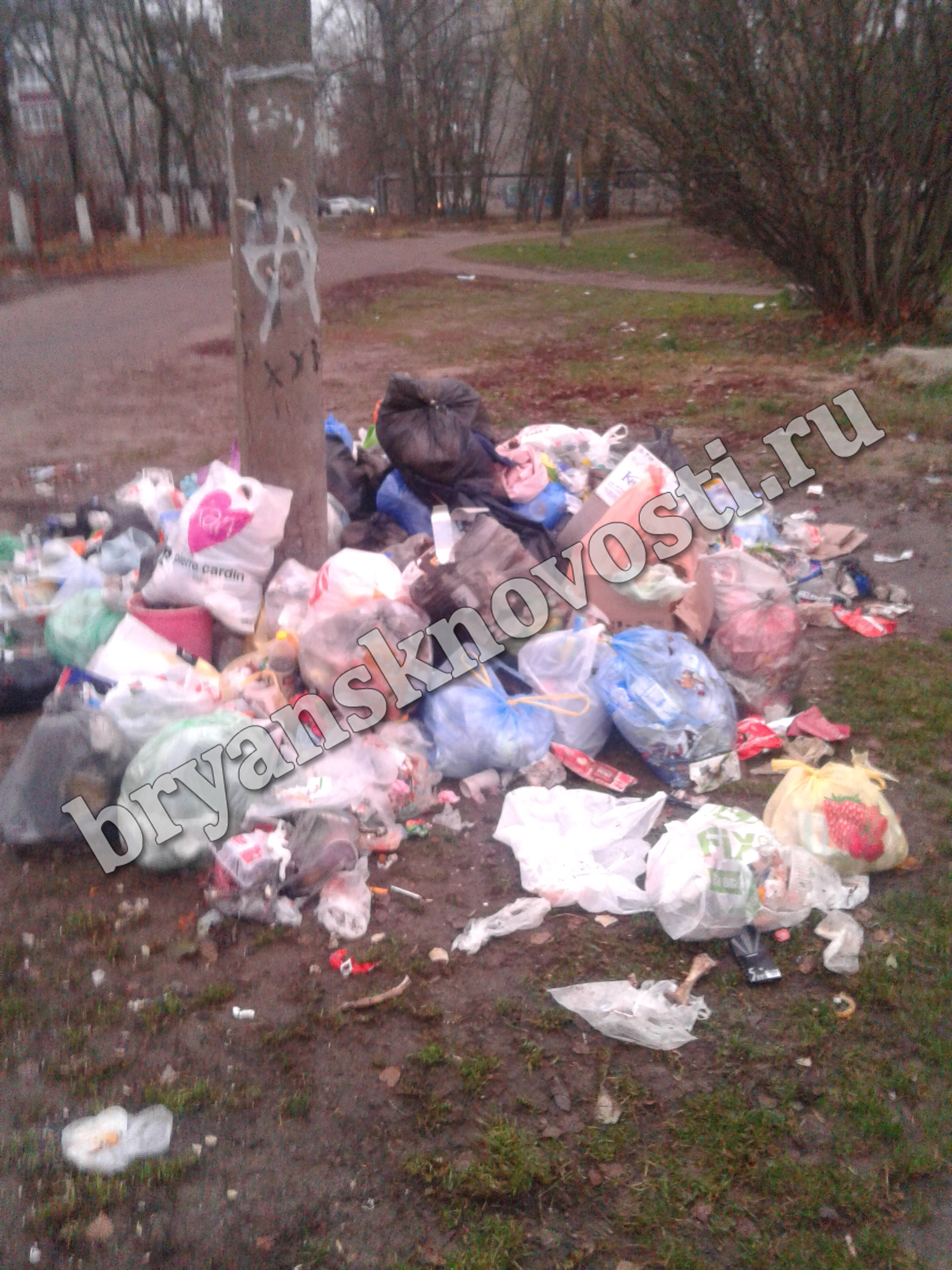 В Новозыбкове внимание привлекла невероятная гора мусора