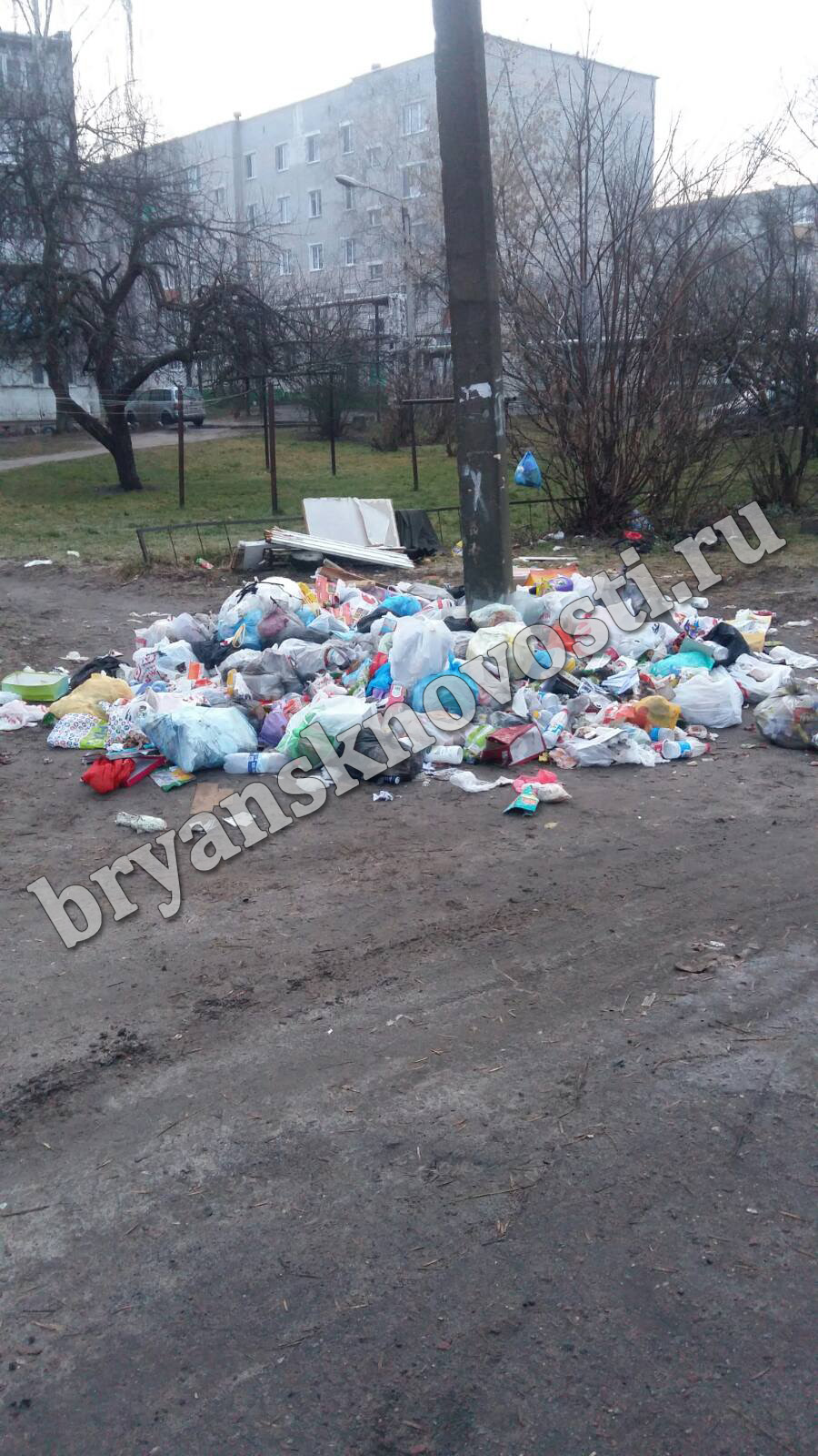 Невероятная гора мусора вновь возмутила жителей Новозыбкова