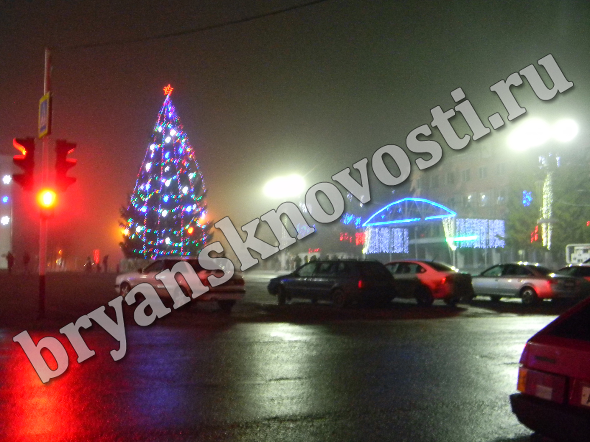 В Новозыбкове утилизируют елочку-красавицу, радовавшую горожан все новогодние праздники
