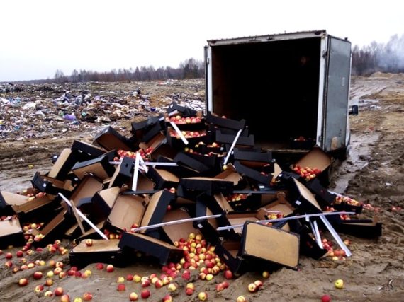 В Брянской области уничтожили почти пять тонн «санкционных» яблок