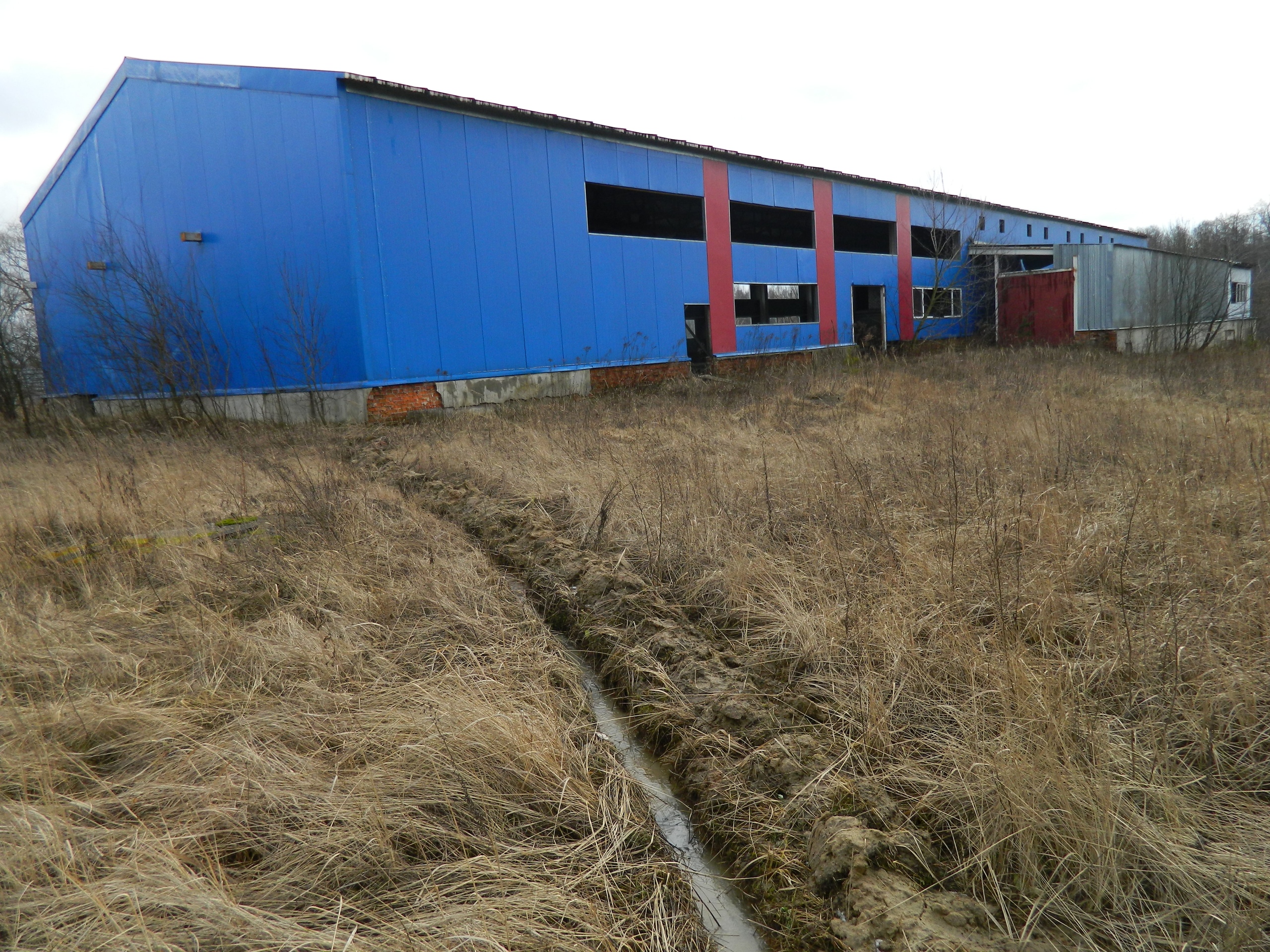 Мусороперерабатывающий завод в Новозыбкове растащили «по кирпичикам»