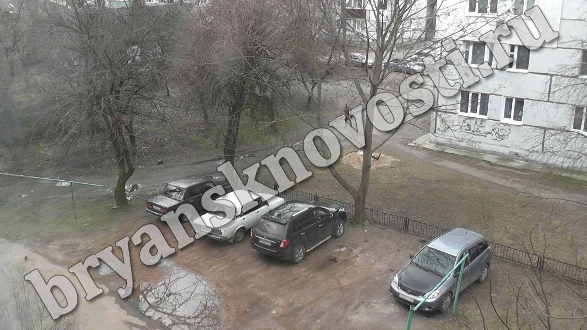В Новозыбкове автовандалы испортили три машины