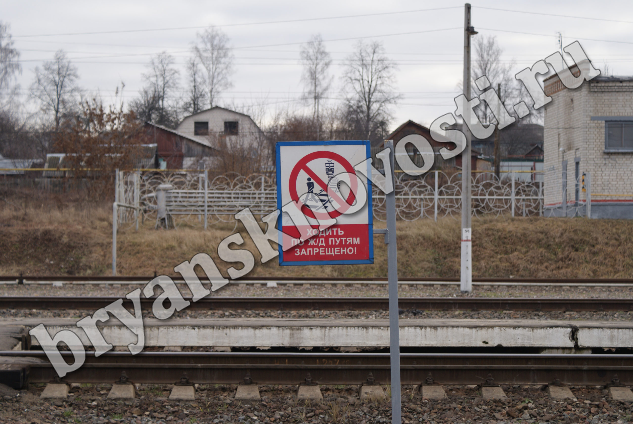 Поезд «Москва-Новозыбков» из-за коронавируса будет ходить реже