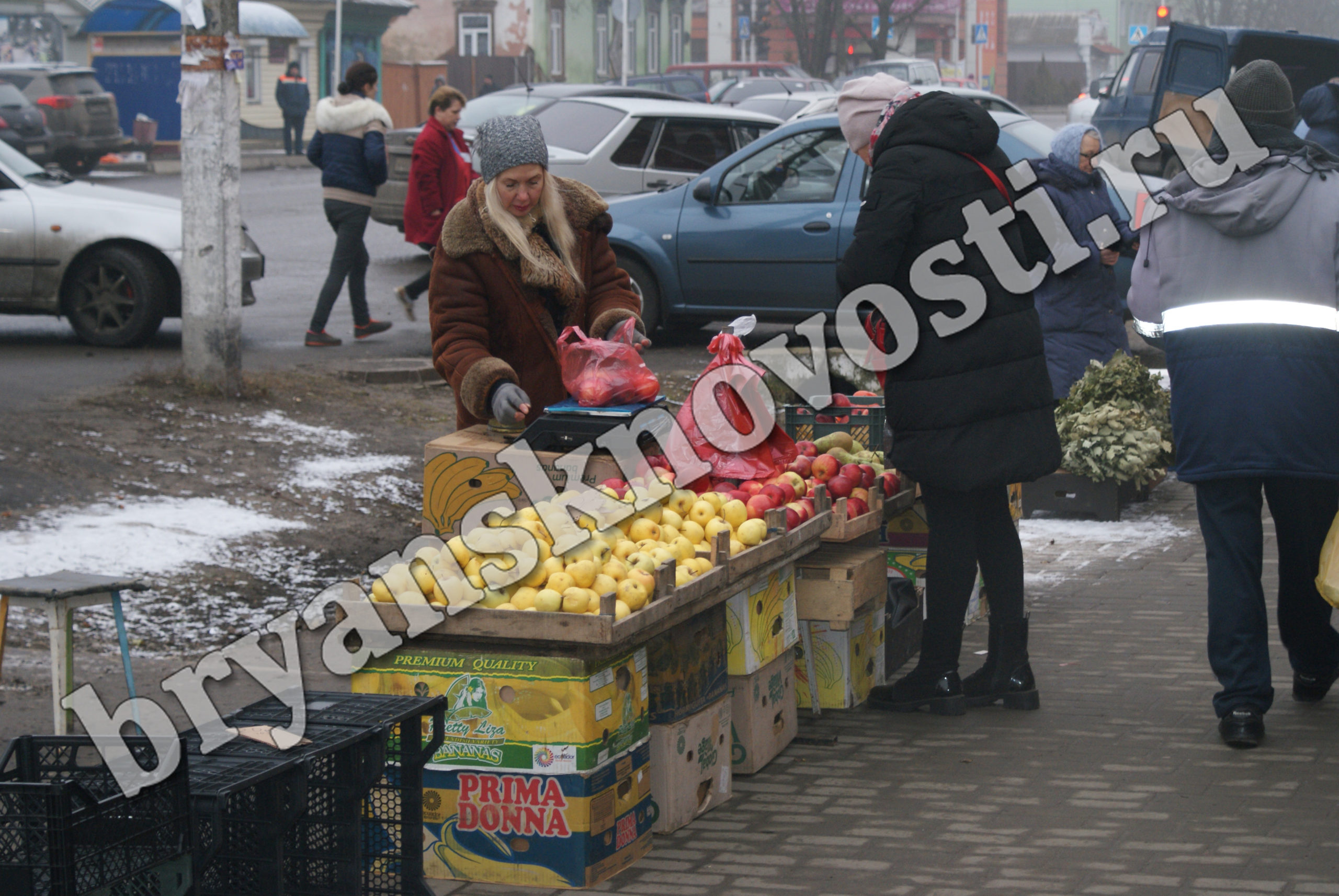 В Новозыбкове штрафами наказали нарушителей торговли, тишины и собачников