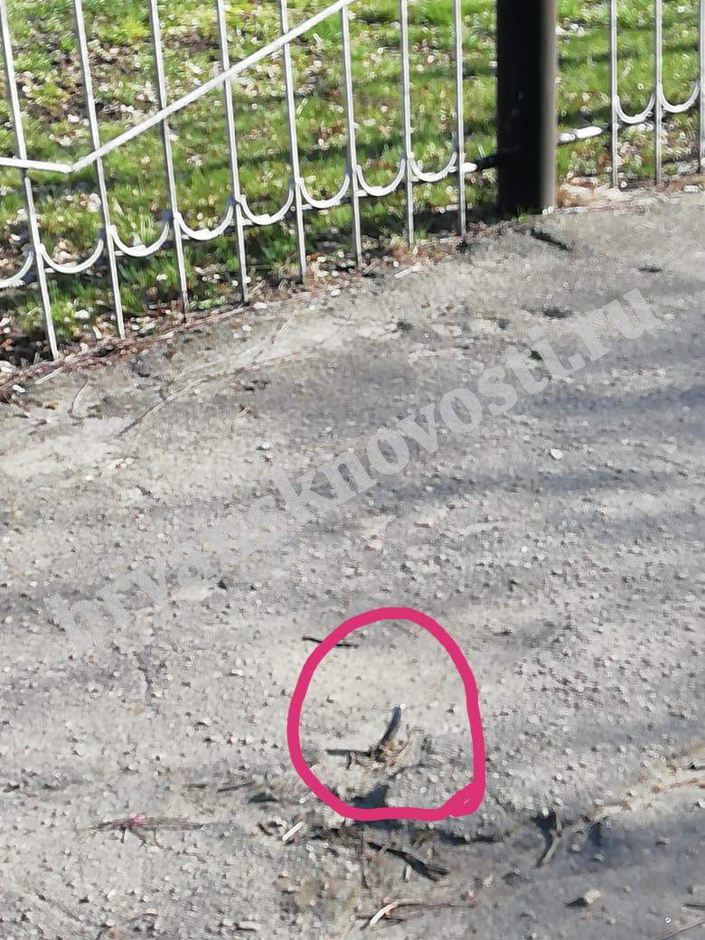 У школы в Новозыбкове нашли опасный штырь