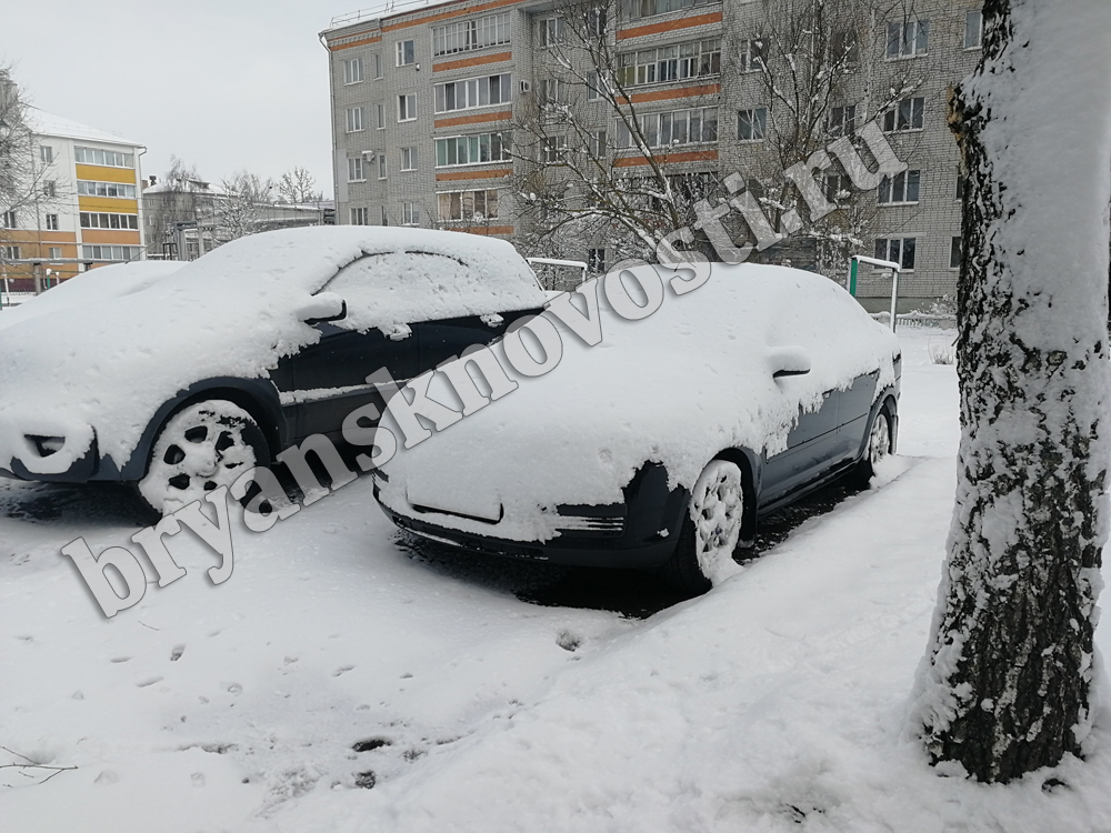 В Новозыбкове за неправильную парковку выписали штрафы