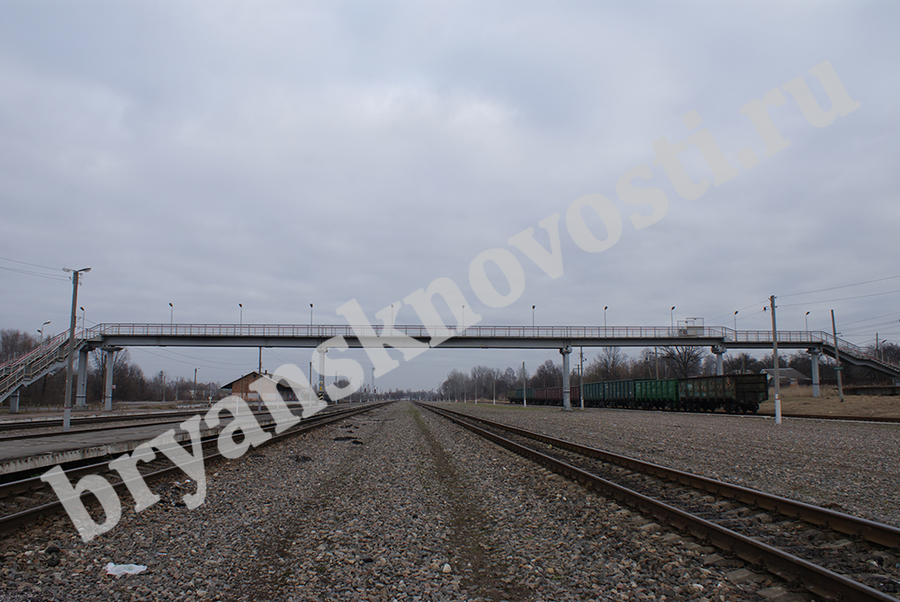 Отменены два поезда в столичном направлении – из Брянска и Новозыбкова