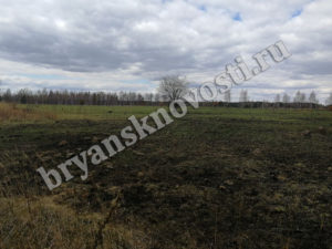 За прошедшие сутки пожарные расчеты выезжали на тушение дважды в Новозыбковском округе