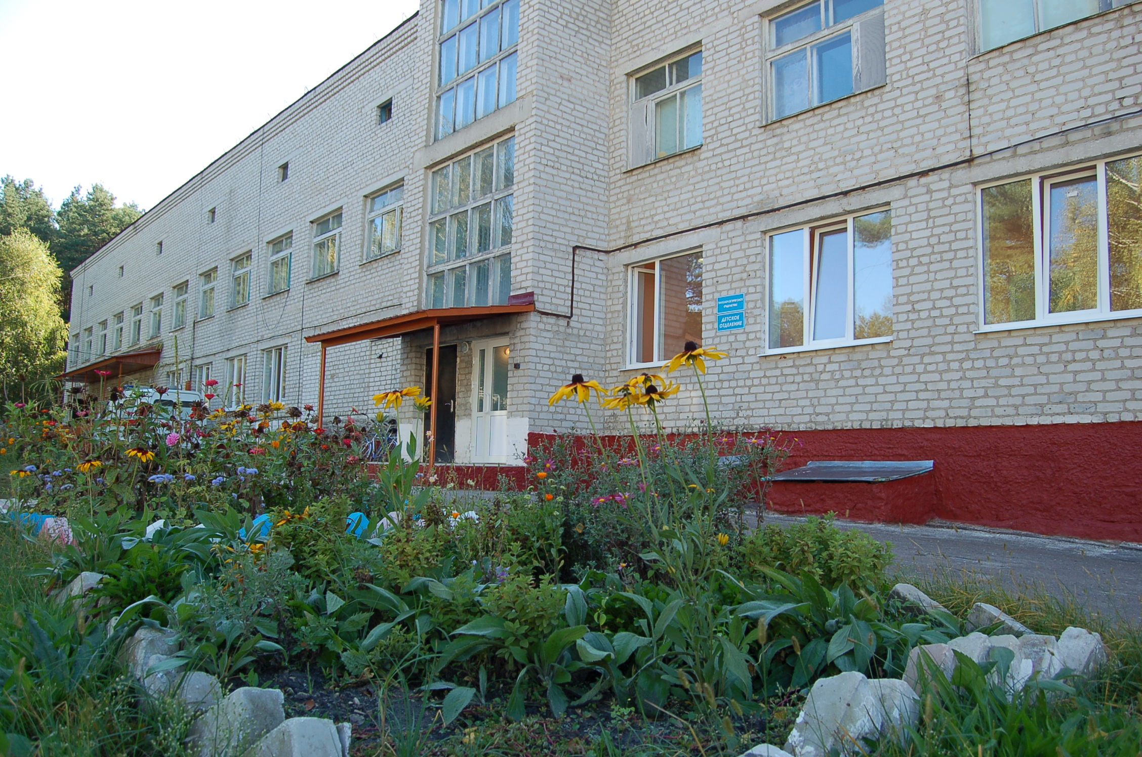Перенос детского отделения из Климово в Новозыбков назвали фейком