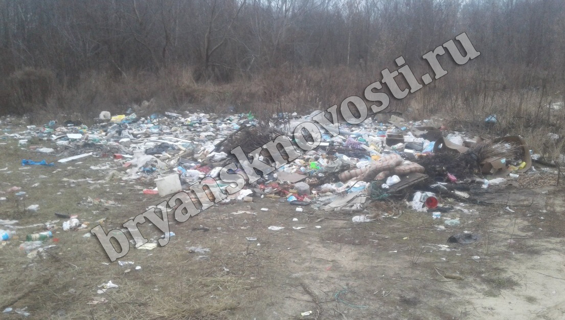 Вывезенный с озера мусор обнаружили недалеко в лесополосе в Новозыбкове