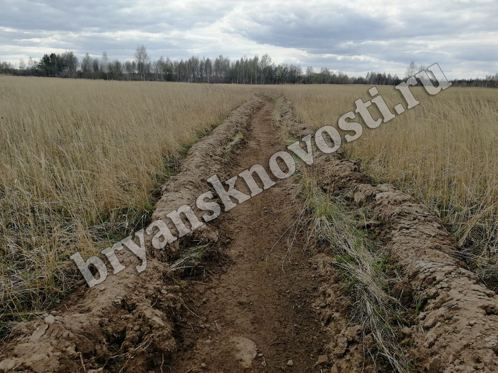 Новозыбковские аграрии завершают сев картофеля и кукурузы